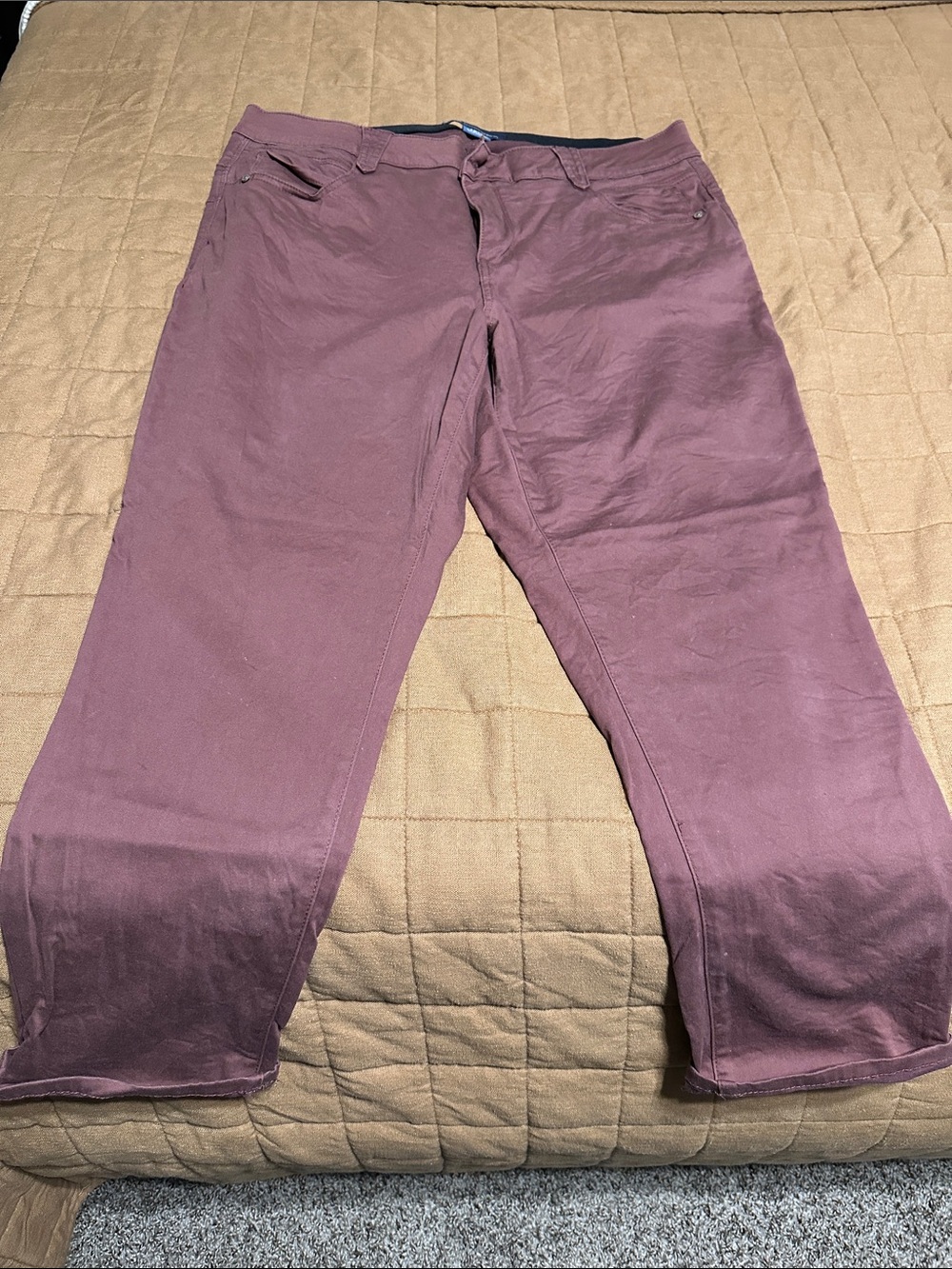 Democracy Women's Wine Stretch Pants
